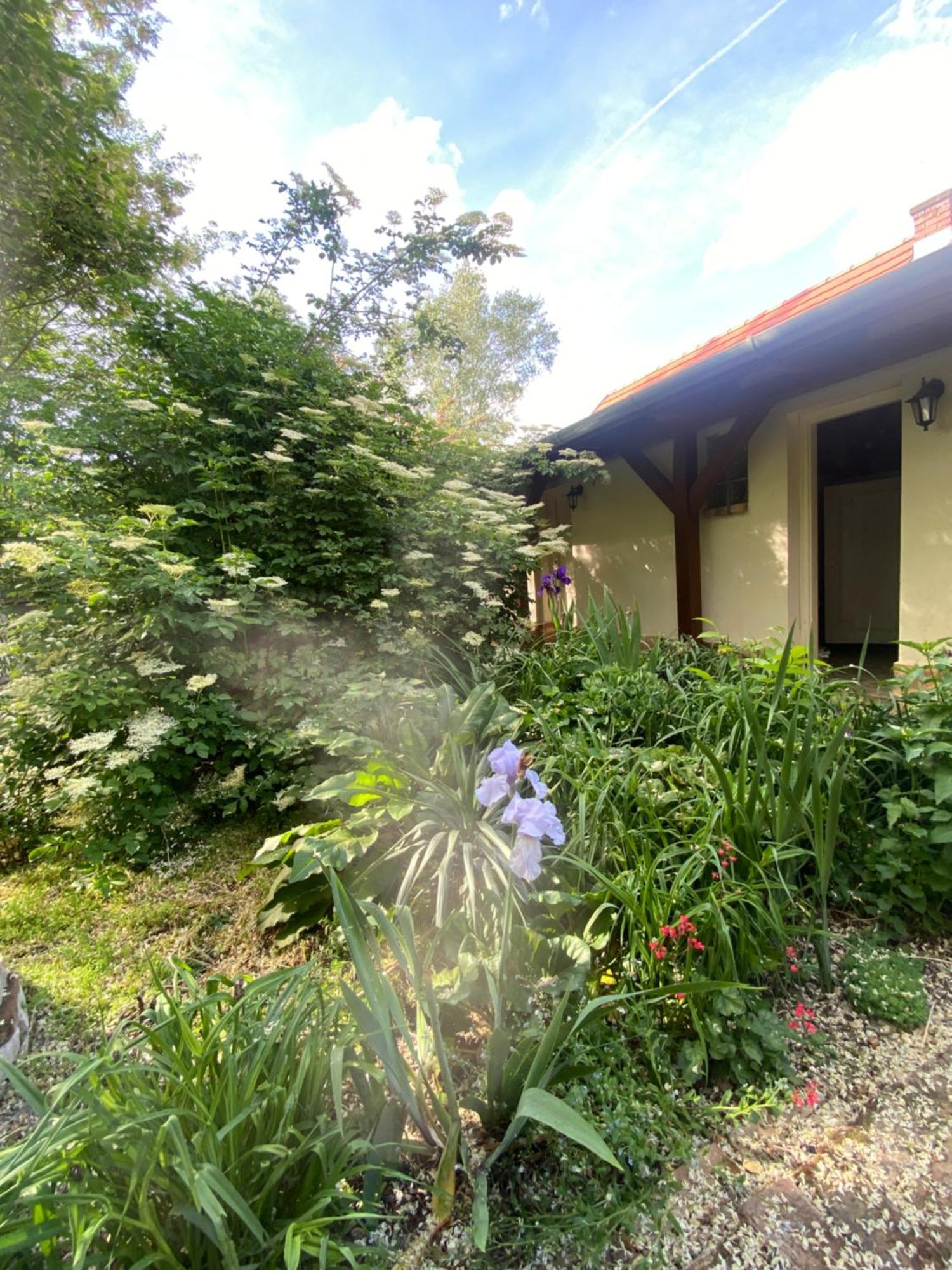 Racz Birtok Lajosmizse Apartment ภายนอก รูปภาพ