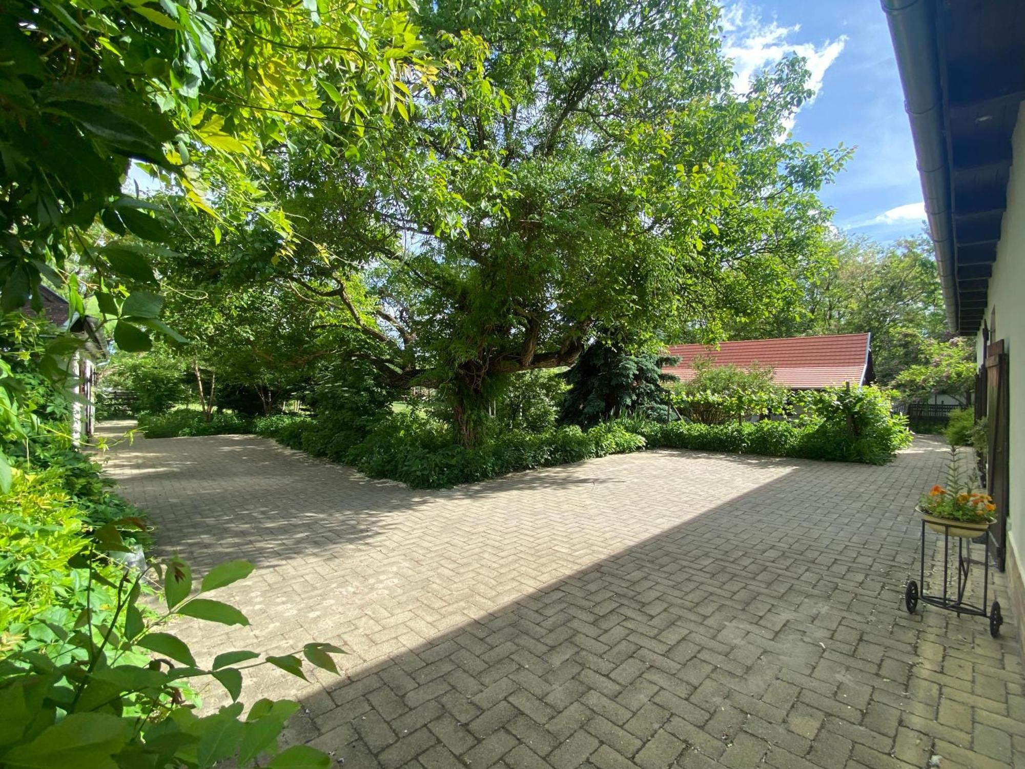 Racz Birtok Lajosmizse Apartment ภายนอก รูปภาพ