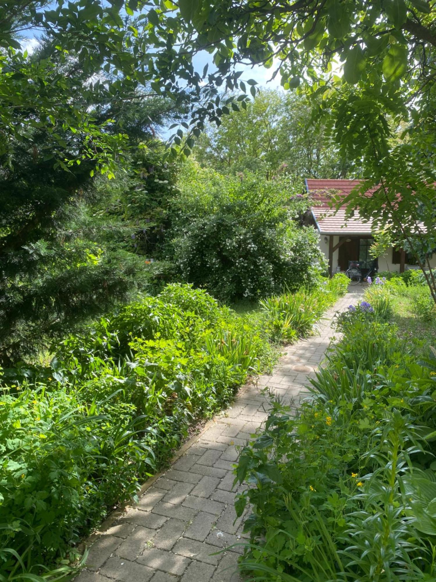 Racz Birtok Lajosmizse Apartment ภายนอก รูปภาพ