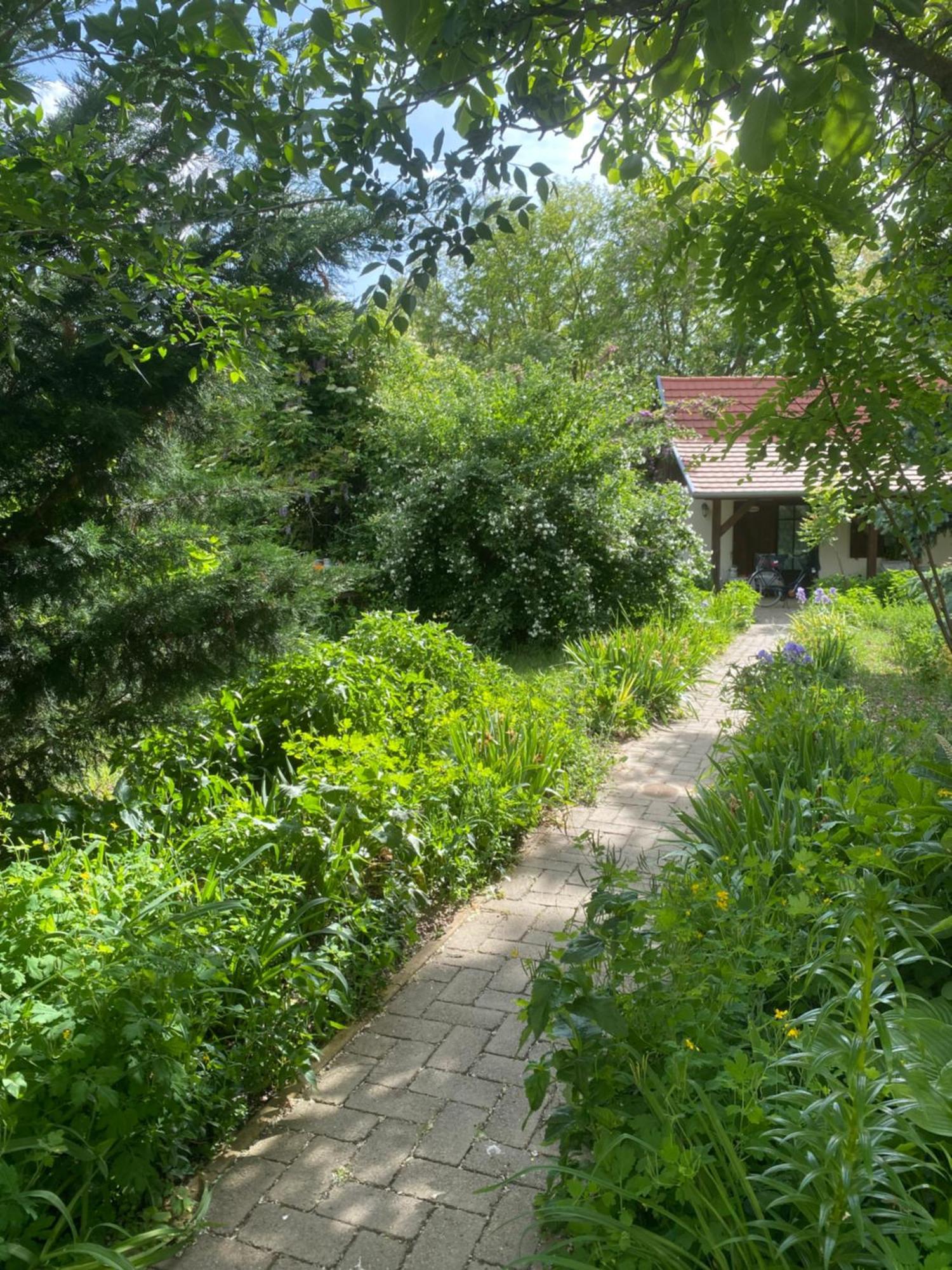 Racz Birtok Lajosmizse Apartment ภายนอก รูปภาพ